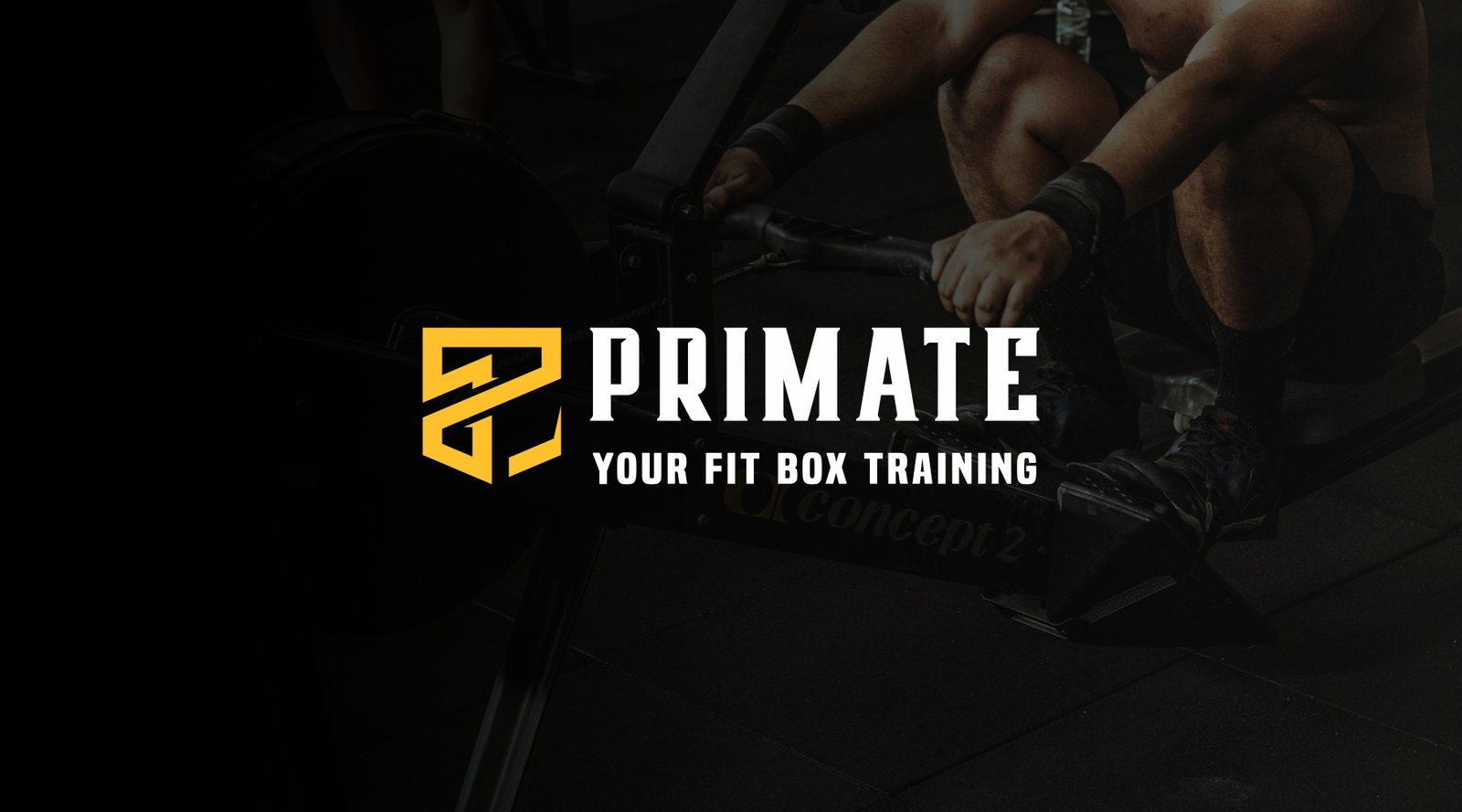 Primate Box